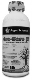 ionbo1.jpg