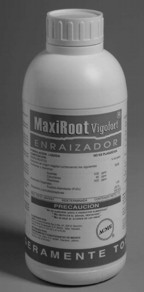 maxi1.jpg