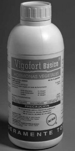 vigo1.jpg