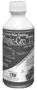 magic1.jpg
