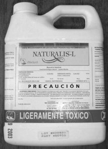 naturalis.jpg