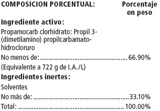 promess.jpg