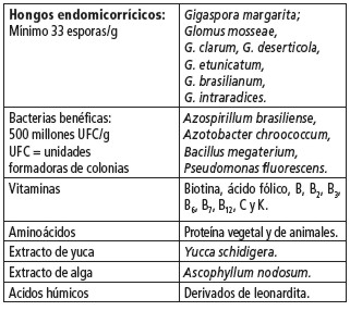 endospa.jpg