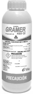 gramer1.jpg