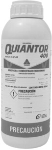 quiantor1.jpg